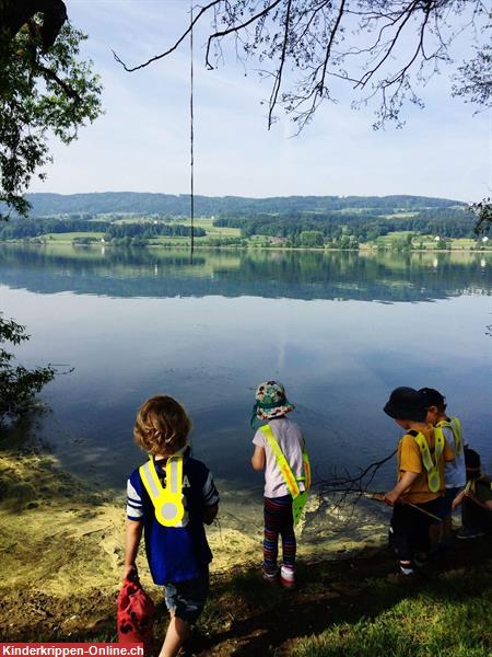 Bild 11: Kinderwelt kidin.ch, ganzheitliche Kinderbetreuung in Riedikon (am Greifensee)