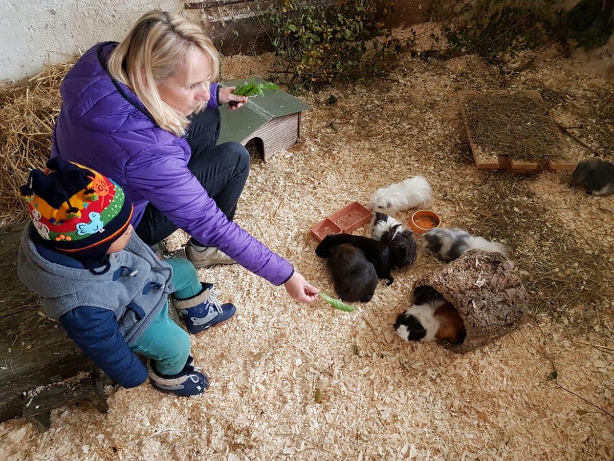 Bild 2: Bauernhof Kita, Kinderbetreuung mit Ponys und vielen Tieren im Zentrum Baar ZG