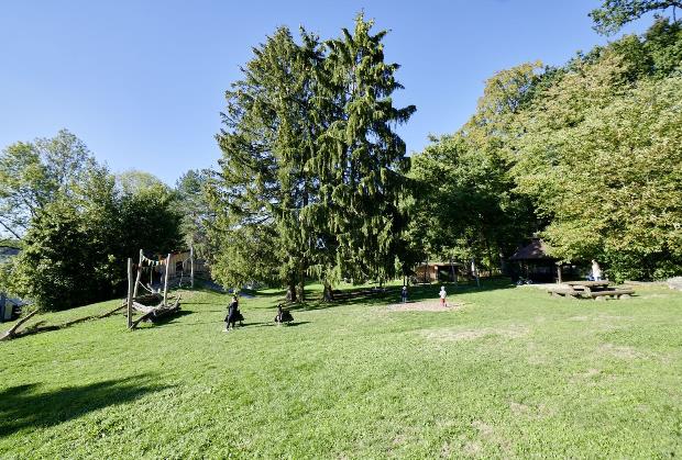 Bild 4: GFZ Kita 10 Heizenholz, Kindertagesstätte beim Hönggerberg