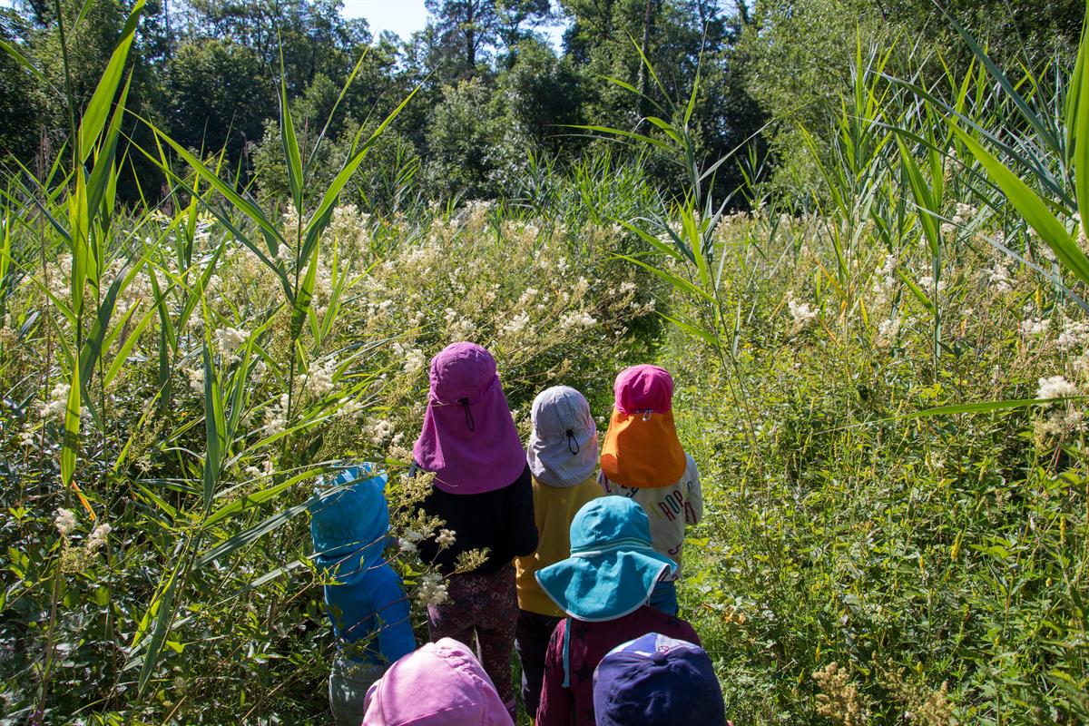 Bild 3: Lehrstelle zur FaBe Kinder EFZ, August 2025, Rüschlikon ZH