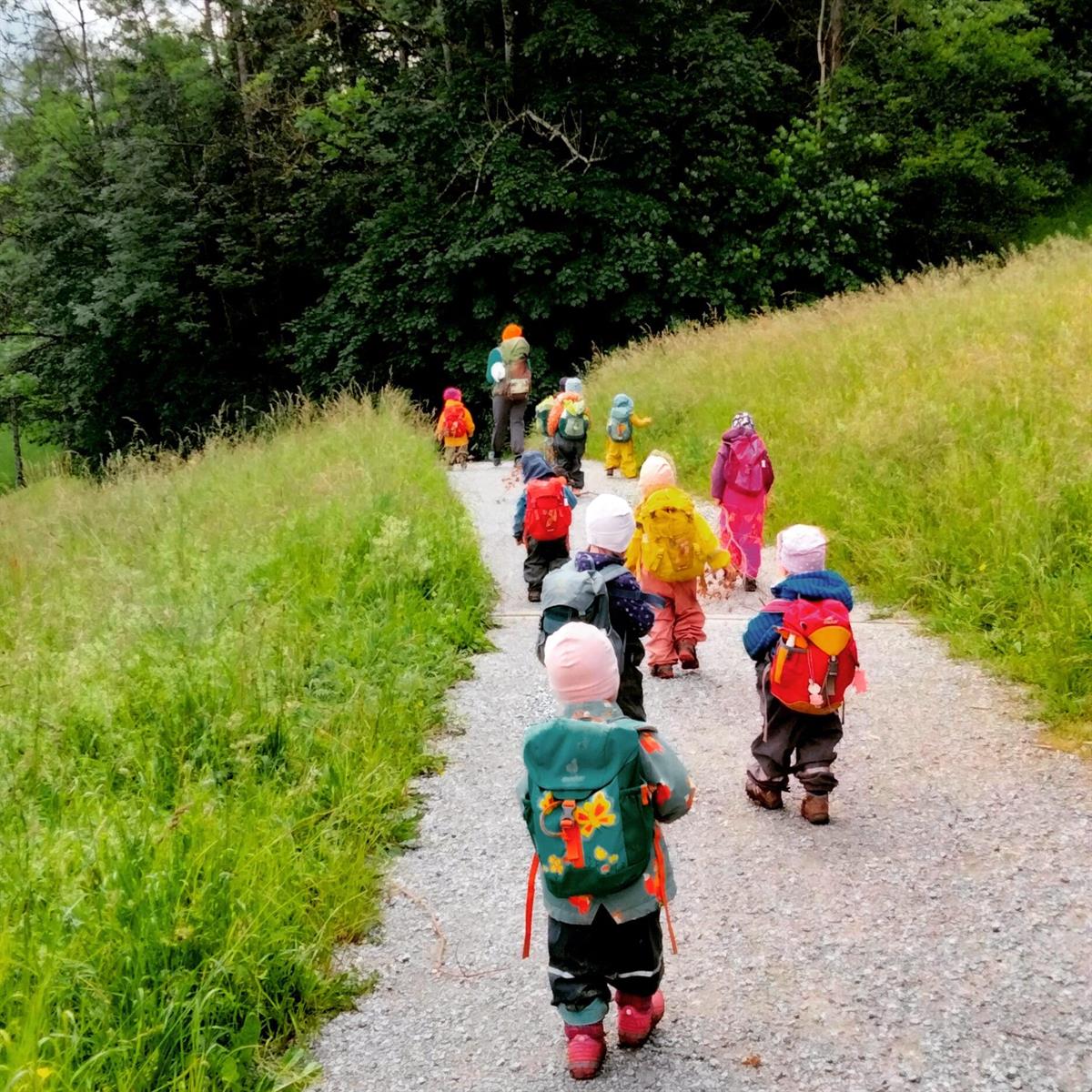 Gruppenleitung für Waldgruppe, 60-80%, Adliswil