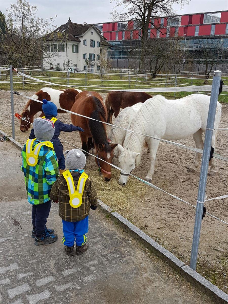 Naturverbundene FaBe Kinderbetreuung, 60-100%, Baar ZG